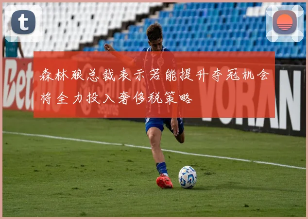 森林狼总裁表示若能提升夺冠机会将全力投入奢侈税策略